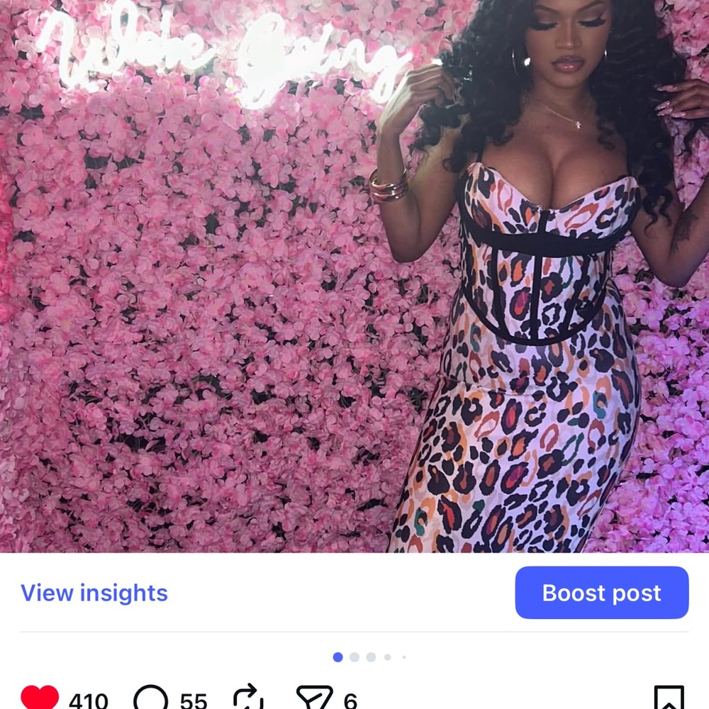 Leopard Bodycon Birthday Dress with Corset Detail -